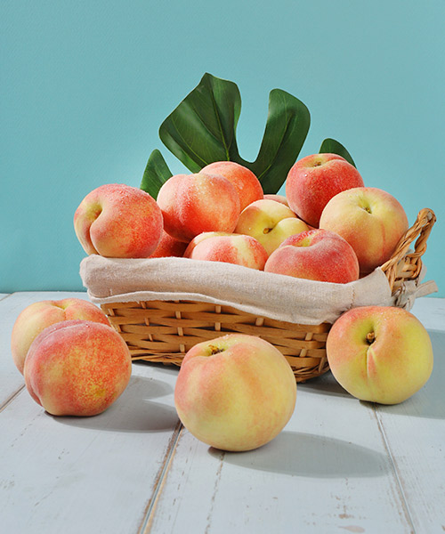 대극천 복숭아 1kg(소과/13과내)